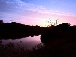 Sunset at lake