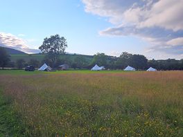 Just 4 bell tents set in a field with meadow