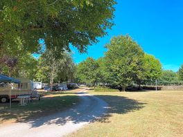 Grassy pitches
