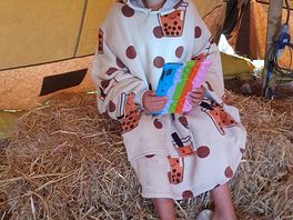 Little hay tent where you could sit and hang out