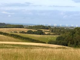 View from the site