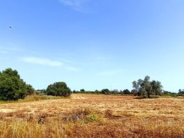 Hay and the sky