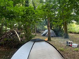 Plenty of room under the trees