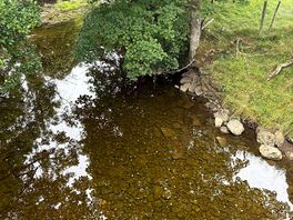 River near site