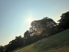 Early morning