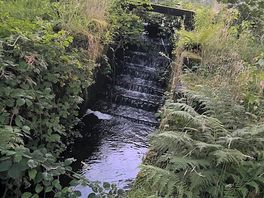 Amazing waterfall