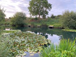 Photo of the lake