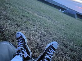 Morning views