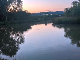 Fishing lake on site