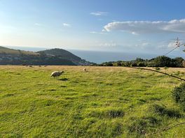 View from the site