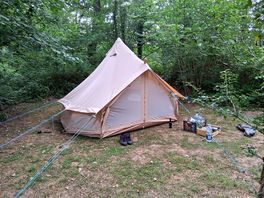 Forest pitches