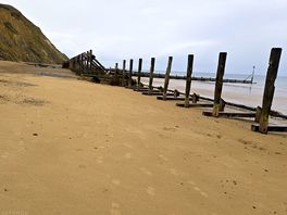 Lovely beach for the dogs to run around