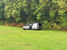 Lots of space in the field