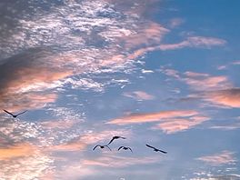 Peaceful