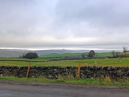 View from the tent