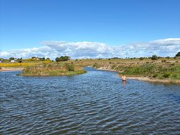 Wild swimming