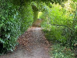 River walk 2