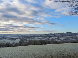 Local walk and view
