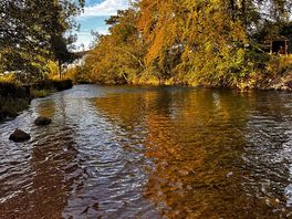 Beautiful autumn colours