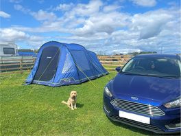 Great sized pitch. added bonus that they have electric hook ups too!