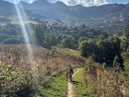 Walk nearby