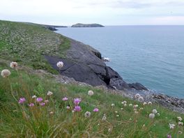 View to the left from the ed