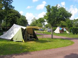 Grassy pitches