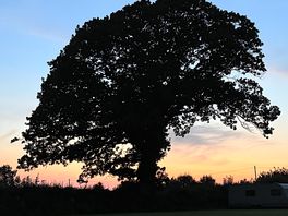 Beautiful in the late evening