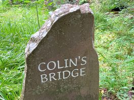 Bridge on waterfall walk