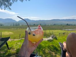 Gin with a view