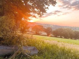 Gorgeous sunset from site