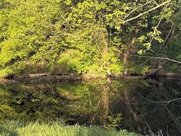 The river