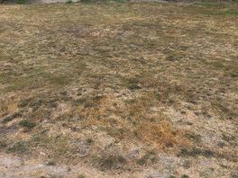 Ground