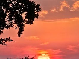 Spectacular sunset!
