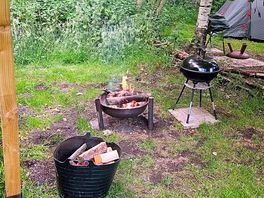 Foxes den area