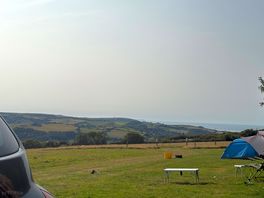 Morning view