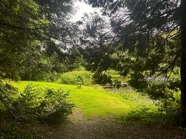 Some scenery