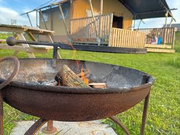 Fire pit view of foxglove