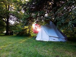 Grassy, shaded pitch