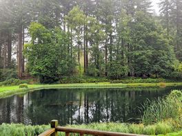 View from our camping pod