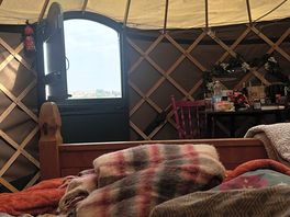 Slow morning in the yurt