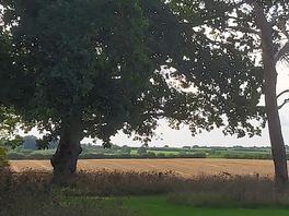 View across the fields