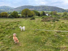 The common