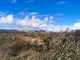 Peaceful surroundings