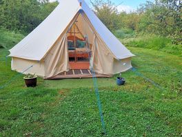 Cox tent