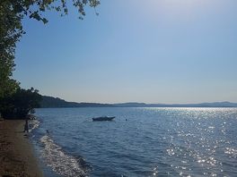 A view of the lake