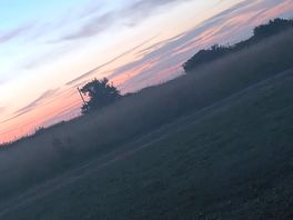 Beautiful sunsets