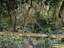 Spots from path to woolacombe