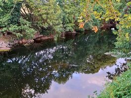 River looking the other way from one of the benches.