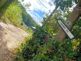 Bramble path round the corner from site